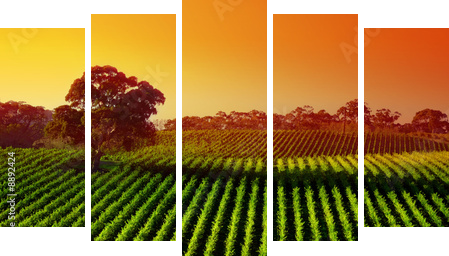 Beautiful Vineyard Landscape with large gum tree - Fünfteiliges Leinwandbild, Pentaptychon