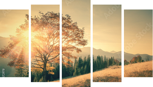 Autumn tree and sunbeam warm day landscape toned in vintage - Fünfteiliges Leinwandbild, Pentaptychon