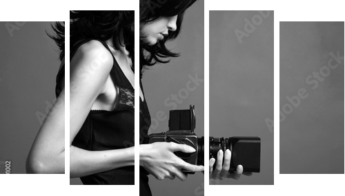 Fashion portrait of young photographing lady - Fünfteiliges Leinwandbild, Pentaptychon