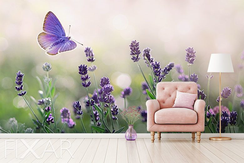Schmetterling zwischen lavendel fototapeten fixar