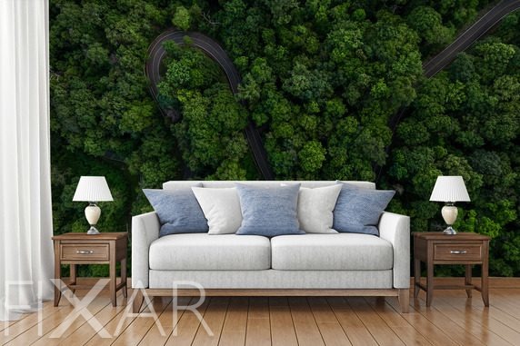 Waldkurve-aus-der-vogelperspektive-landschaften-fototapeten-fixar