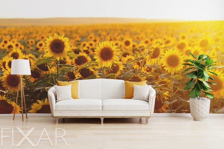 Fototapeten Sonnenblumen im goldenen Licht