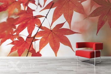 Herbstblatter-furs-wohnzimmer-fototapeten-fixar
