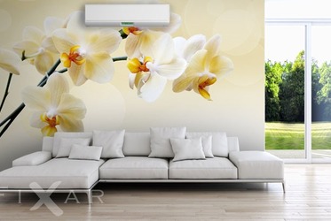 In-teefarbe-orchidee-fototapeten-fixar
