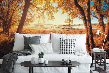 Herbstfarben-landschaften-fototapeten-fixar