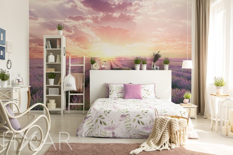 Fototapeten Lavendel erreicht den Horizont