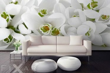 Blumenstrauss-aus-orchideen-blumen-fototapeten-fixar