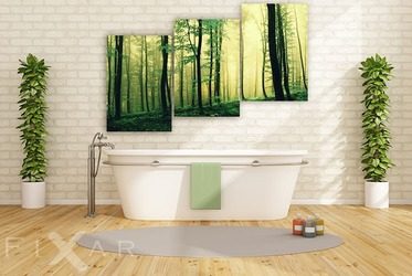 In-einem-grunen-wald-furs-badezimmer-bilder-und-poster-fixar