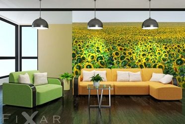 Ein-feld-voller-sonnenblumen-landschaften-fototapeten-fixar
